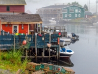 Quidi Vidi, Nowa Fundlandia
